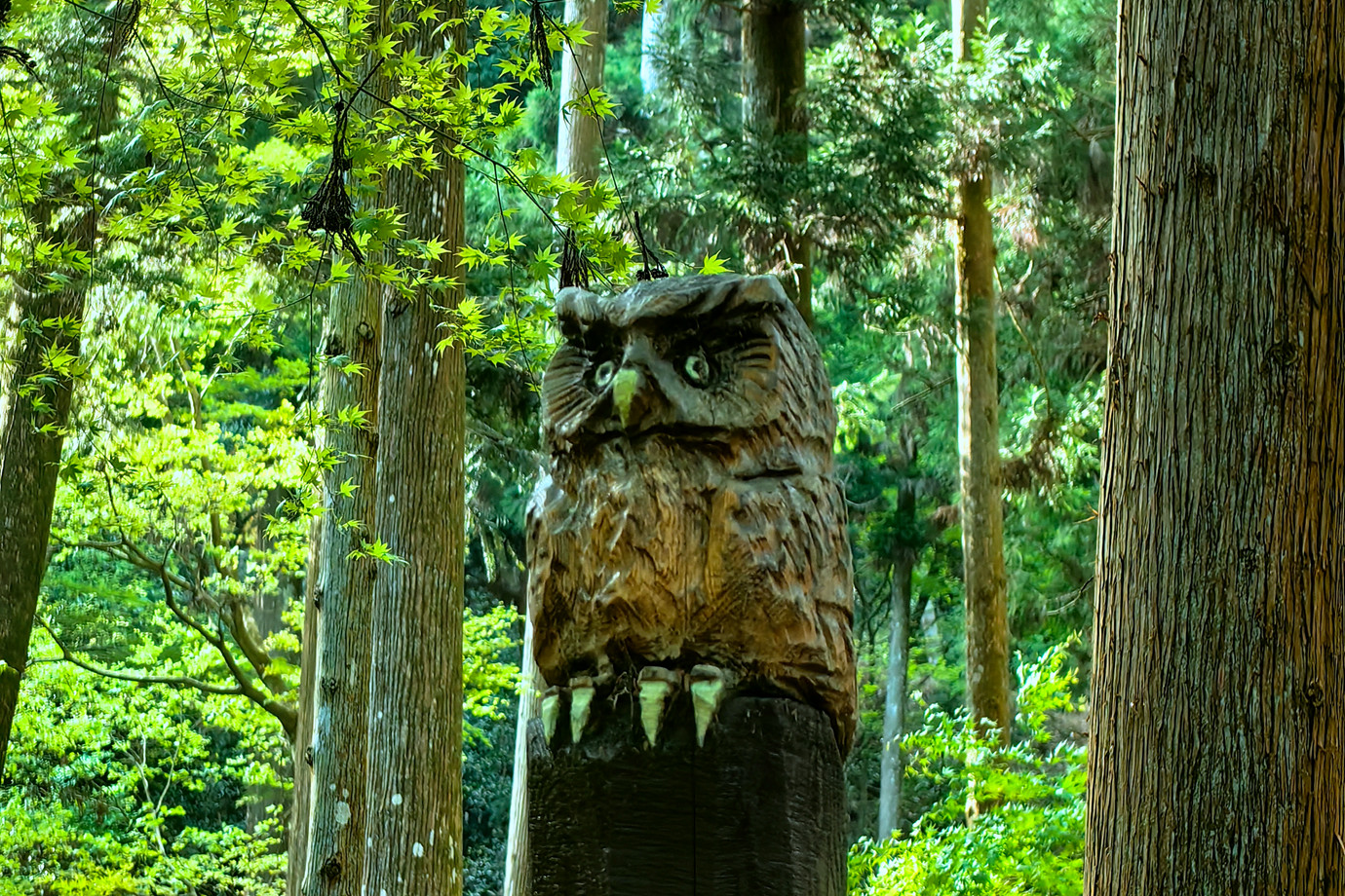 滋賀-金勝山金勝寺